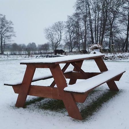 Emsgold Villa Oberlangen Bagian luar foto
